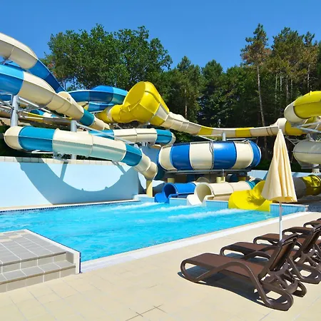 Aquaclub Grifid Bolero גולדן סנדס